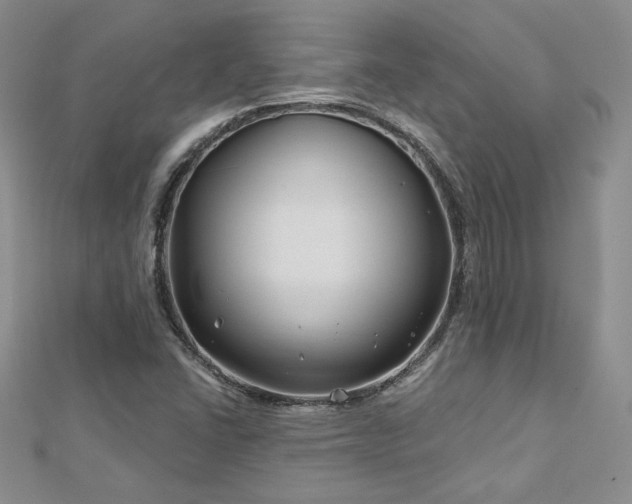 X0000113161406200909041245