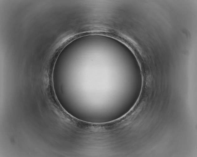 X0000113161407200909041245