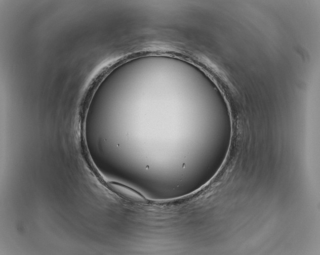 X0000113161408200909041245