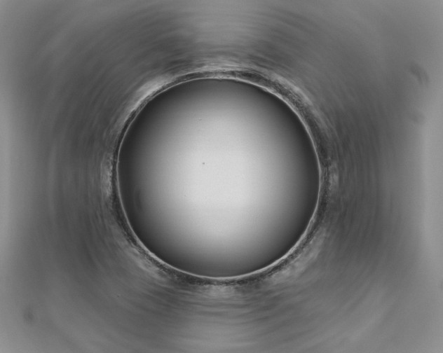 X0000113161409200909041245