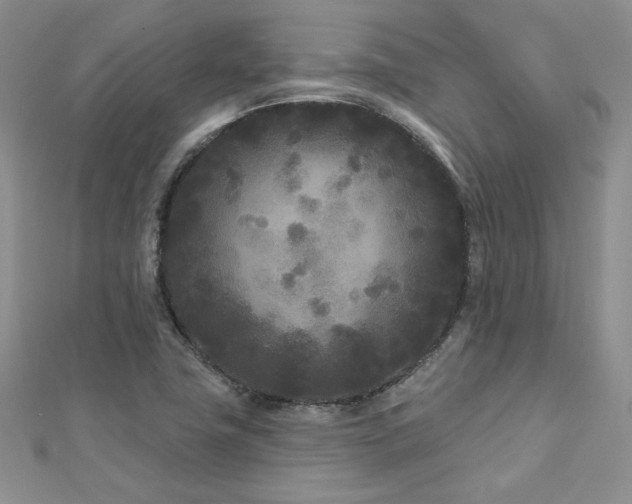 X0000113161411200909041245