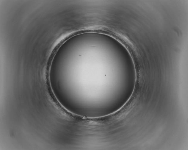 X0000113161412200909041245