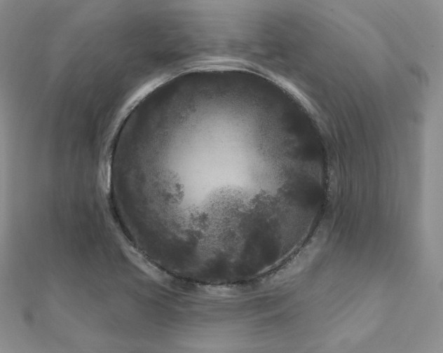 X0000113161413200909041245