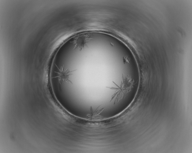 X0000113161415200909041245