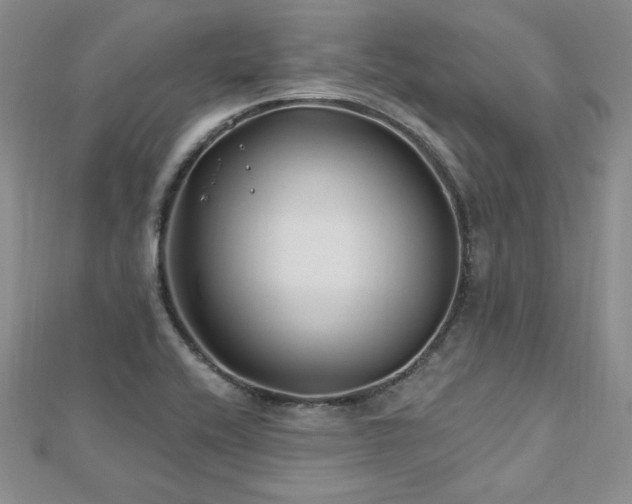 X0000113161416200909041245