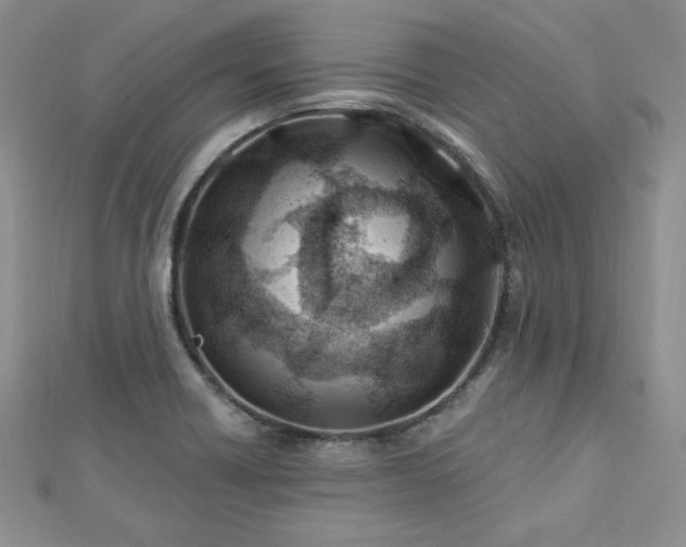 X0000113161418200909041245