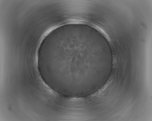 X0000113161419200909041245