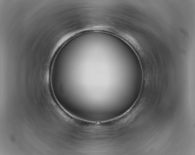 X0000113161420200909041245
