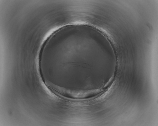 X0000113161422200909041245