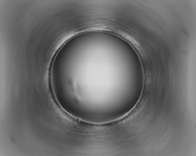 X0000113161423200909041245