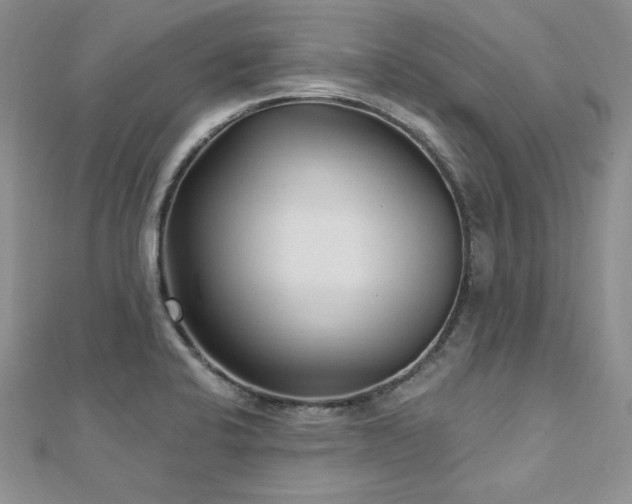 X0000113161424200909041245