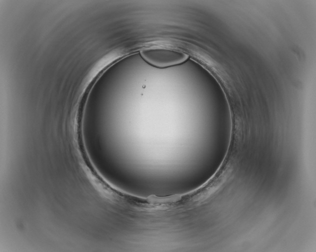 X0000113161426200909041245