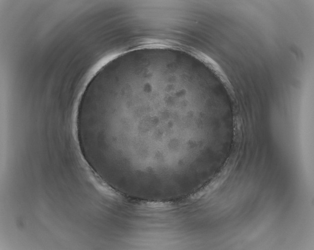 X0000113161427200909041245
