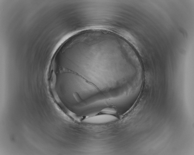 X0000113161428200909041245