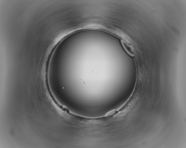 X0000113161430200909041245