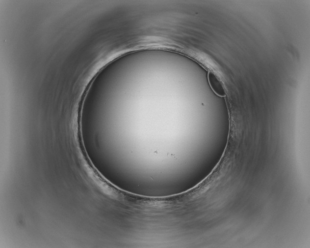 X0000113161431200909041245