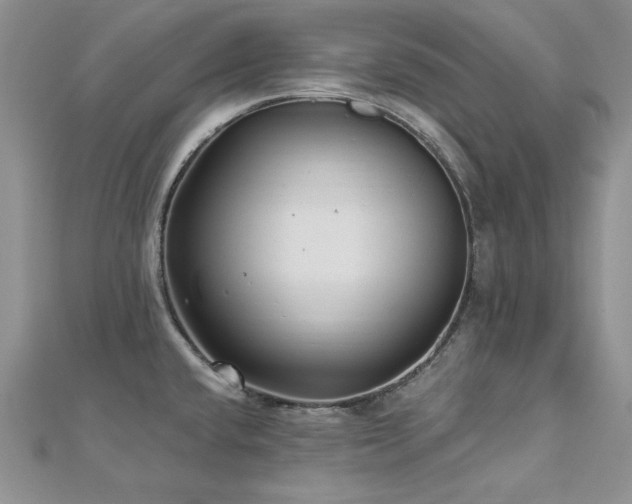 X0000113161432200909041245