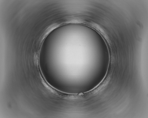 X0000113161433200909041245