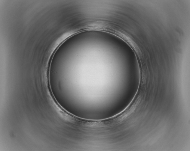 X0000113161434200909041245