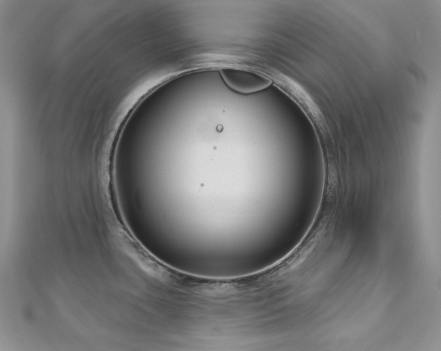 X0000113161435200909041245