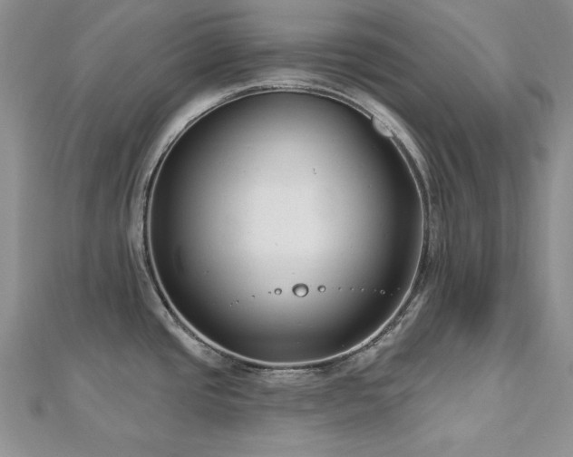 X0000113161437200909041245