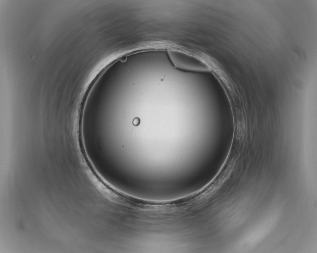 X0000113161438200909041245