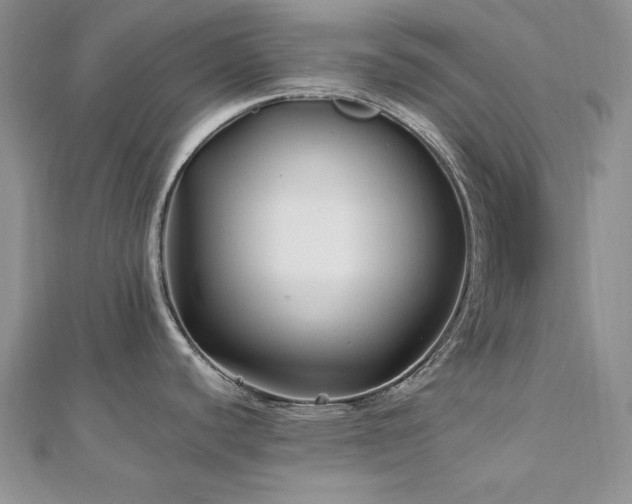 X0000113161440200909041245