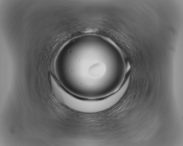 X0000113161441200909041245