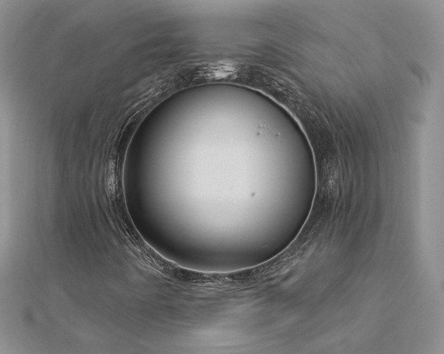 X0000113161442200909041245