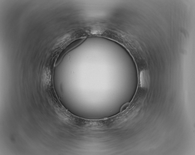 X0000113161443200909041245