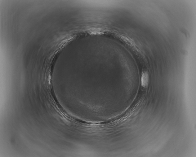 X0000113161444200909041245