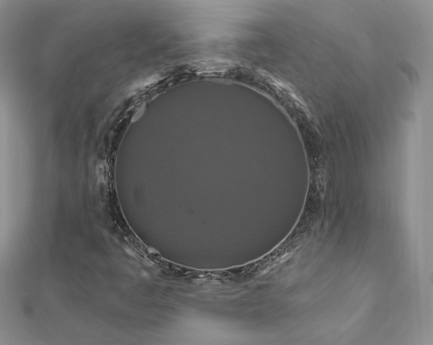X0000113161445200909041245