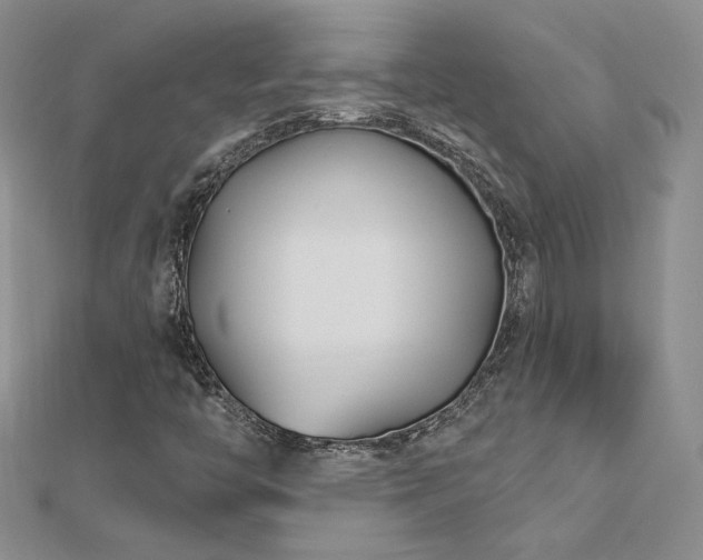X0000113161446200909041245