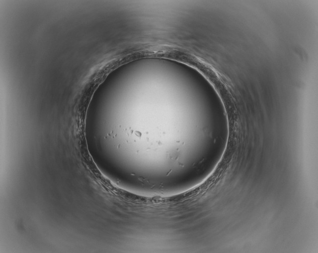 X0000113161447200909041245