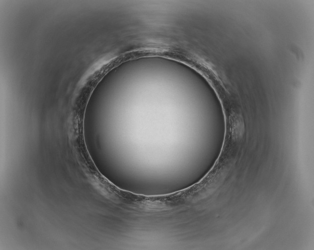 X0000113161448200909041245