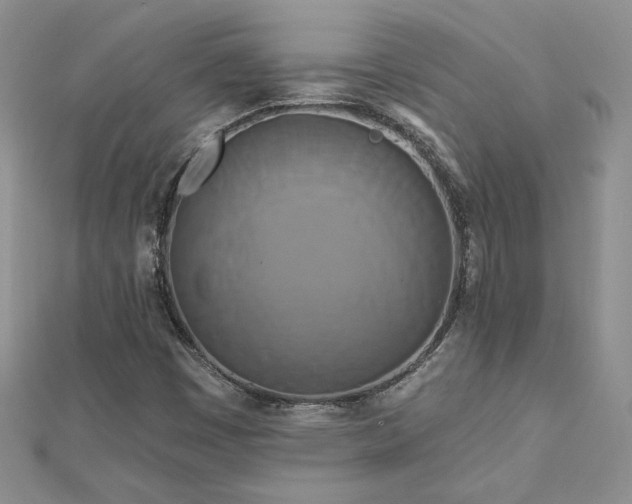 X0000113161449200909041245