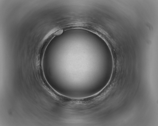 X0000113161450200909041245