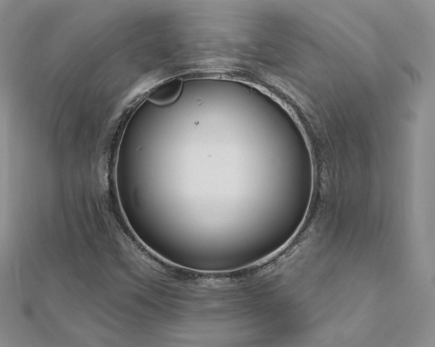 X0000113161451200909041245
