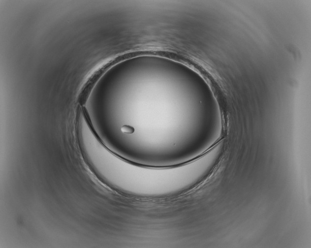 X0000113161452200909041245