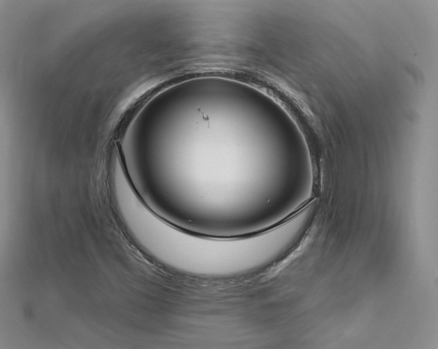 X0000113161453200909041245