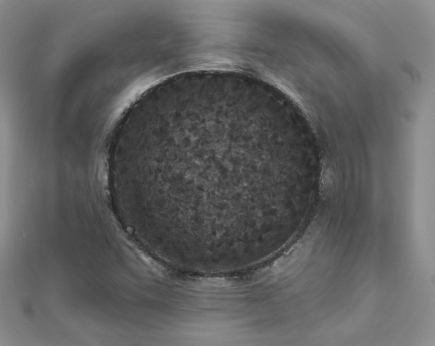 X0000113161455200909041245