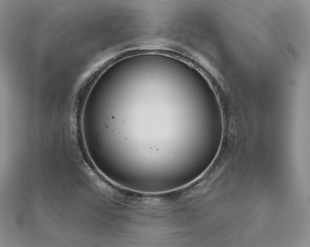 X0000113161456200909041245