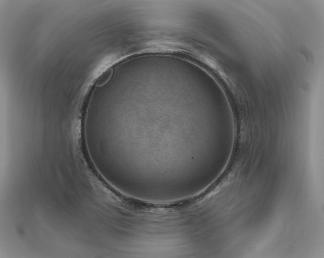 X0000113161459200909041245