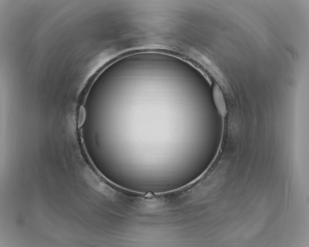 X0000113161460200909041245