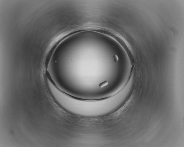 X0000113161461200909041245