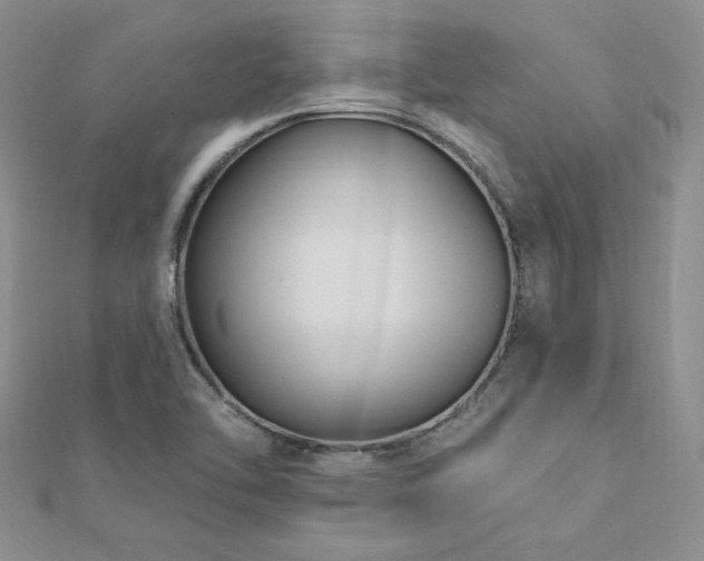 X0000113161462200909041245