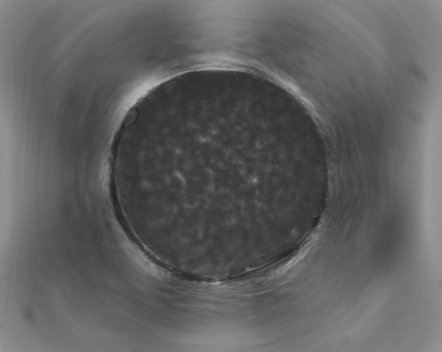 X0000113161463200909041245