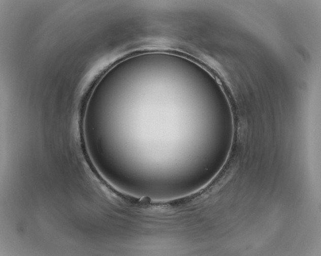 X0000113161464200909041245
