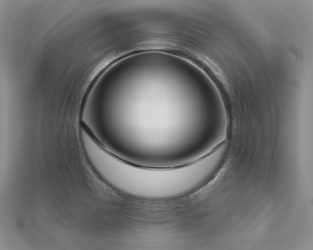 X0000113161465200909041245