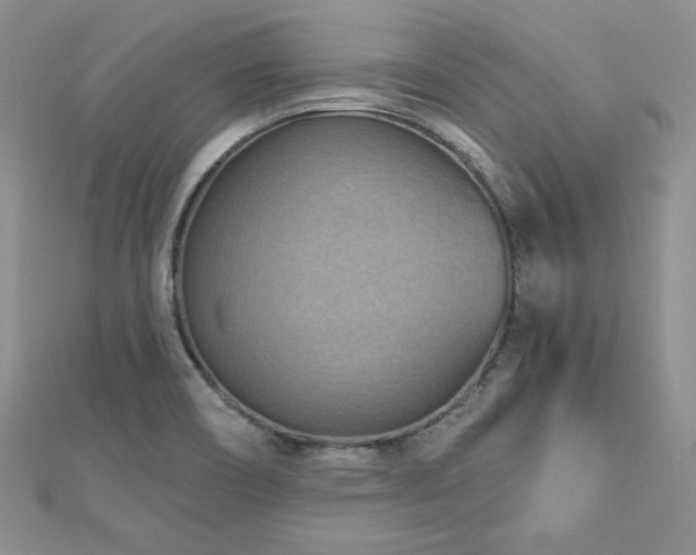 X0000113161466200909041245